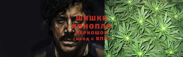 эйфоретик Новокубанск