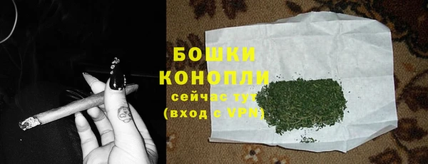таблы Гусев