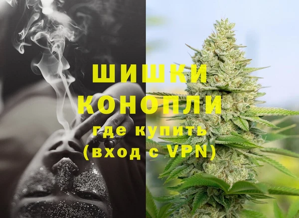 эйфоретик Новокубанск