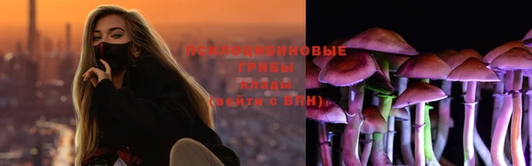 ешки Саяногорск