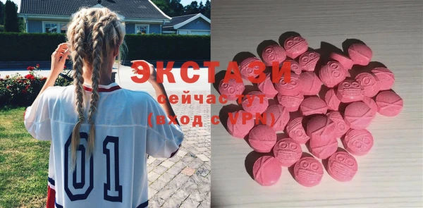 таблы Гусев