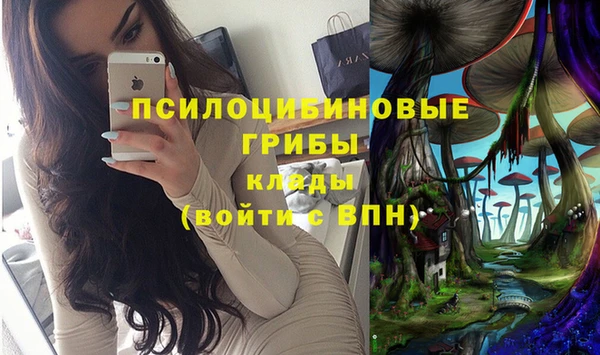 эйфоретик Новокубанск