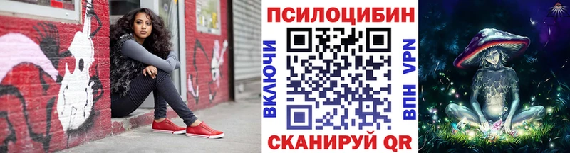 Галлюциногенные грибы Psilocybe  Оха 